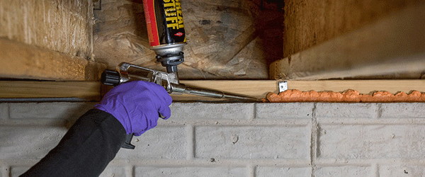 Pro Window Door Insulating Foam Sealant Great Stuff