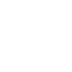 Durability and strength icon