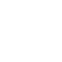 Temperature resistance icon