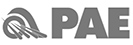 DSF-PAE-gray-logo-45px.jpg